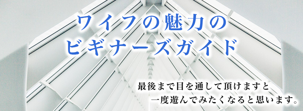 ワイフの魅力のビギナーズガイド