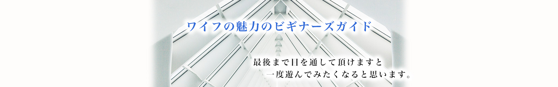 ワイフの魅力のビギナーズガイド
